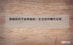 熊猫经历了啥 熊猫的一生会经历哪些过程