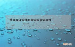 曾被疯狂偷猎的熊猫 偷熊猫事件