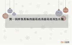煲一锅鲜香美味的菌菇鸡汤 菌菇鸡汤怎么煲