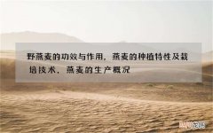 野燕麦的功效与作用，燕麦的种植特性及栽培技术，燕麦的生产概况