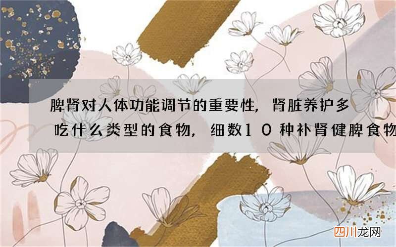 脾肾对人体功能调节的重要性,肾脏养护多吃什么类型的食物,细数10种补肾健脾食物