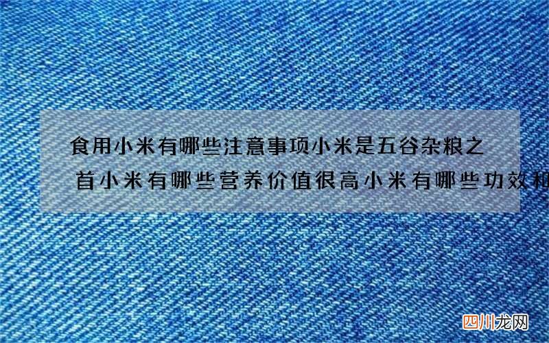 食用小米有哪些注意事项小米是五谷杂粮之首小米有哪些营养价值很高小米有哪些功效和作用