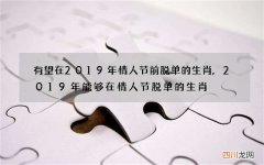 有望在2019年情人节前脱单的生肖,2019年能够在情人节脱单的生肖