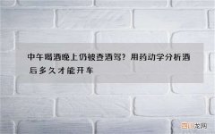 中午喝酒晚上仍被查酒驾？用药动学分析酒后多久才能开车