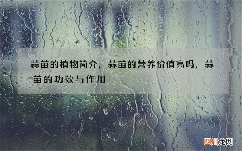 蒜苗的植物简介，蒜苗的营养价值高吗，蒜苗的功效与作用