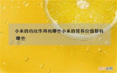 小米的功效作用有哪些小米的营养价值都有哪些