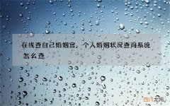 在线查自己婚姻宫，个人婚姻状况查询系统怎么查