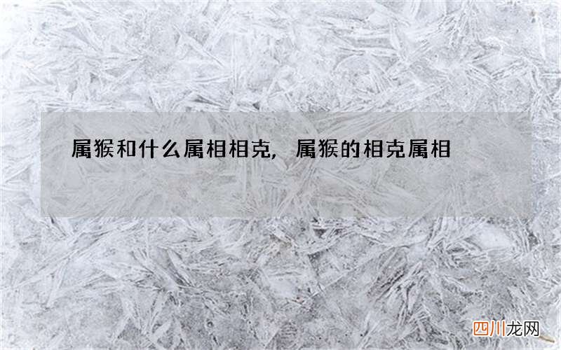 属猴和什么属相相克,属猴的相克属相