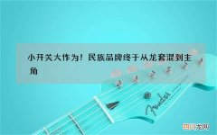 小开关大作为！民族品牌终于从龙套混到主角
