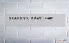 借此头条垂钓节，谈谈鱼竿十大品牌