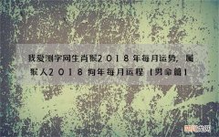 我爱测字网生肖猴2018年每月运势,属猴人2018狗年每月运程【男命篇】