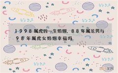 1998属虎的一生婚姻，88年属龙男与98年属虎女婚姻幸福吗
