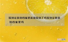 报到证放到档案里就算报到了吗 报到证要放到档案里吗