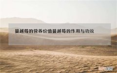 蔓越莓的营养价值蔓越莓的作用与功效