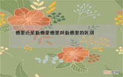 德里还是新德里 德里跟新德里的区别