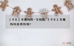 1982年属狗的一生婚姻，1982年属狗的感情婚姻？