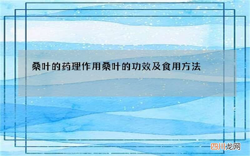 桑叶的药理作用 桑叶的功效及食用方法