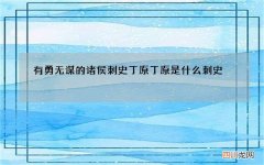 有勇无谋的诸侯刺史丁原 丁原是什么刺史