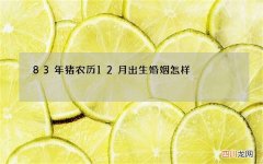 83年猪农历12月出生婚姻怎样，1983属猪农历二月二十出生的婚姻运势