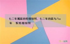 七二年属鼠的婚姻如何，七二年的鼠与八o年旳猴婚姻如何?