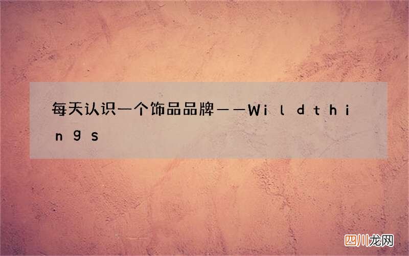 每天认识一个饰品品牌——Wildthings