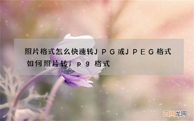 照片格式怎么快速转JPG或JPEG格式 如何照片转jpg格式