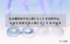 女命属猴的不同人群2019年如何开运,女命生肖猴不同人群2019年开运术