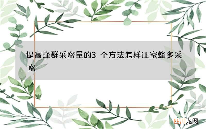提高蜂群采蜜量的3个方法 怎样让蜜蜂多采蜜