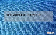 栽种几棵果树 果树一亩地种多少棵