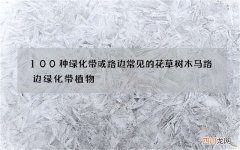 100种绿化带或路边常见的花草树木 马路边绿化带植物