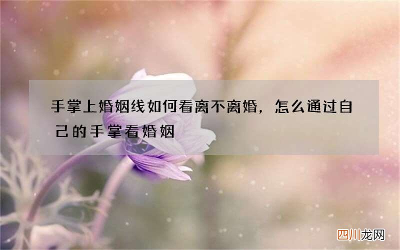 手掌上婚姻线如何看离不离婚，怎么通过自己的手掌看婚姻