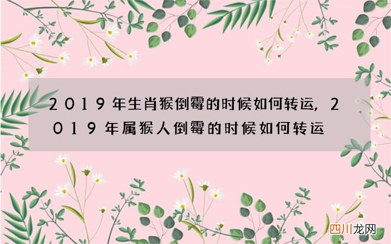 2019年生肖猴倒霉的时候如何转运,2019年属猴人倒霉的时候如何转运