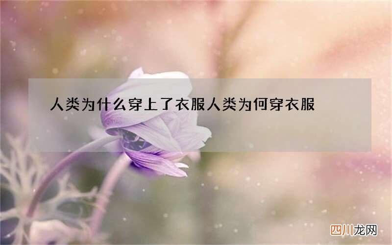 人类为什么穿上了衣服 人类为何穿衣服