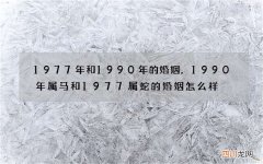 1977年和1990年的婚姻，1990年属马和1977属蛇的婚姻怎么样