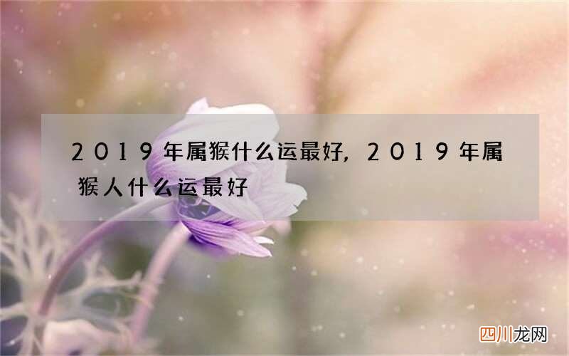 2019年属猴什么运最好,2019年属猴人什么运最好