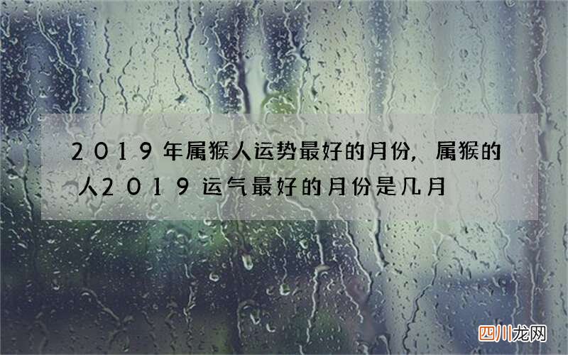 2019年属猴人运势最好的月份,属猴的人2019运气最好的月份是几月