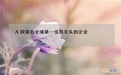 A股排名全球第一优质龙头的企业