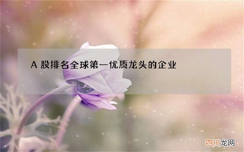 A股排名全球第一优质龙头的企业