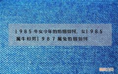 1985牛女今年的婚姻如何，女1985属牛和男1987属兔婚姻如何