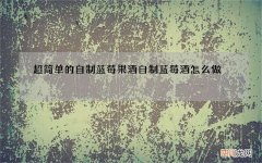 超简单的自制蓝莓果酒 自制蓝莓酒怎么做