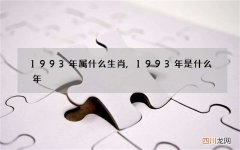 1993年属什么生肖,1993年是什么年