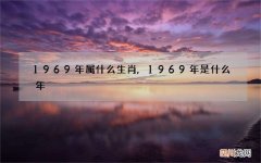 1969年属什么生肖,1969年是什么年
