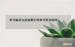 芈月能成为边路霸主吗 芈月是边路吗