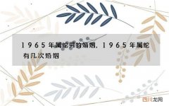 1965年属蛇男的婚姻，1965年属蛇有几次婚姻