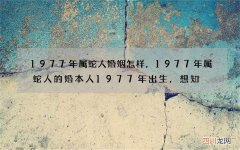 1977年属蛇人婚姻怎样，1977年属蛇人的婚本人1977年出生，想知