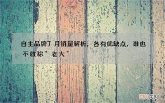 自主品牌7月销量解析，各有优缺点，谁也不敢称“老大”