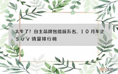 太牛了！自主品牌包揽前五名，10月车企SUV销量排行榜