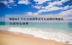 预算在5万左右的钢琴买什么品牌好 预算五万买什么钢琴
