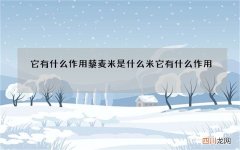 它有什么作用 藜麦米是什么米它有什么作用