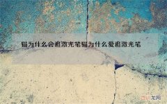 猫为什么会追激光笔 猫为什么爱追激光笔